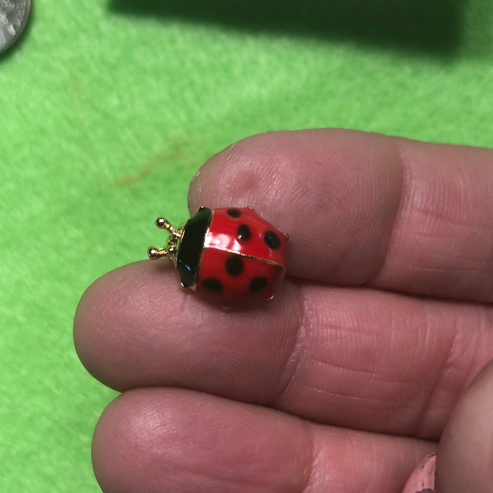 Ladybug Earrings!! - Picture 5 of 8